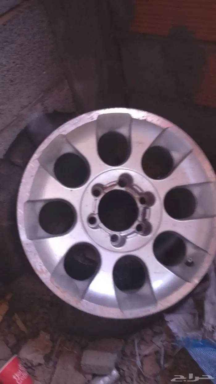 البيع جنوط افجي 0