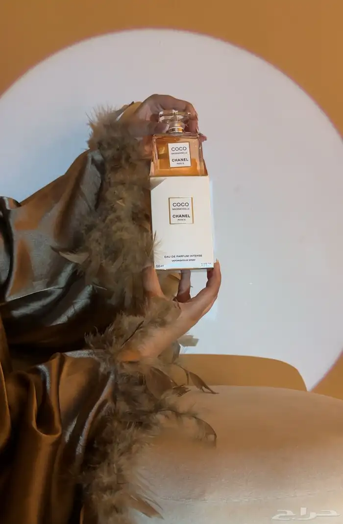 تصوير احترافي 0