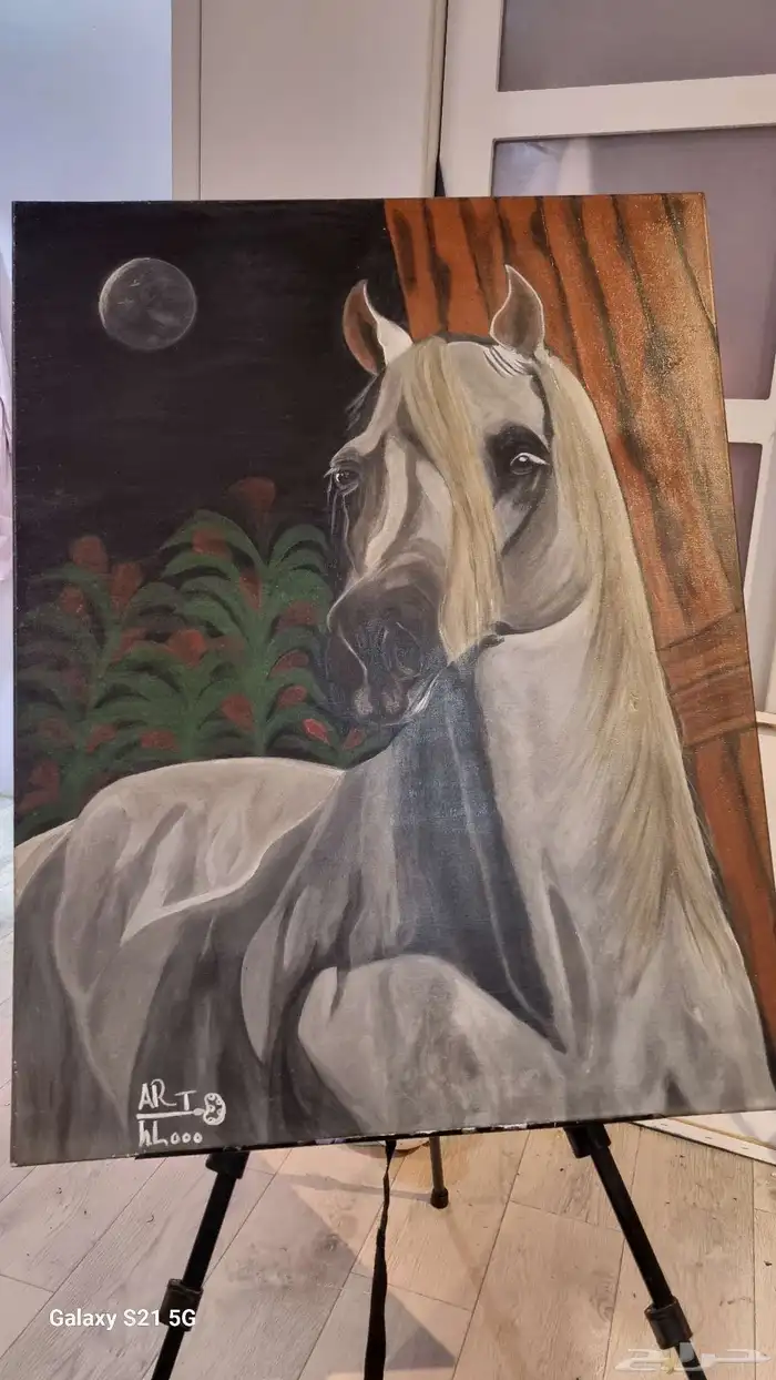 لوخة الخيل 1