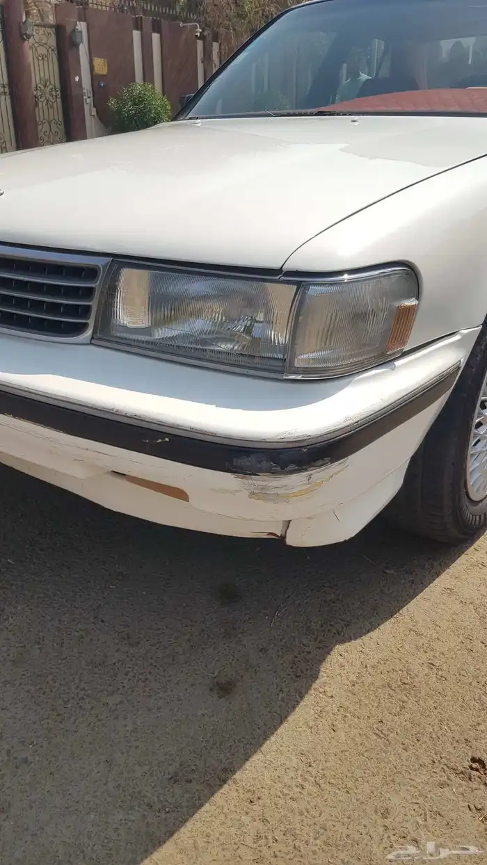 كرسيدا 1991 12