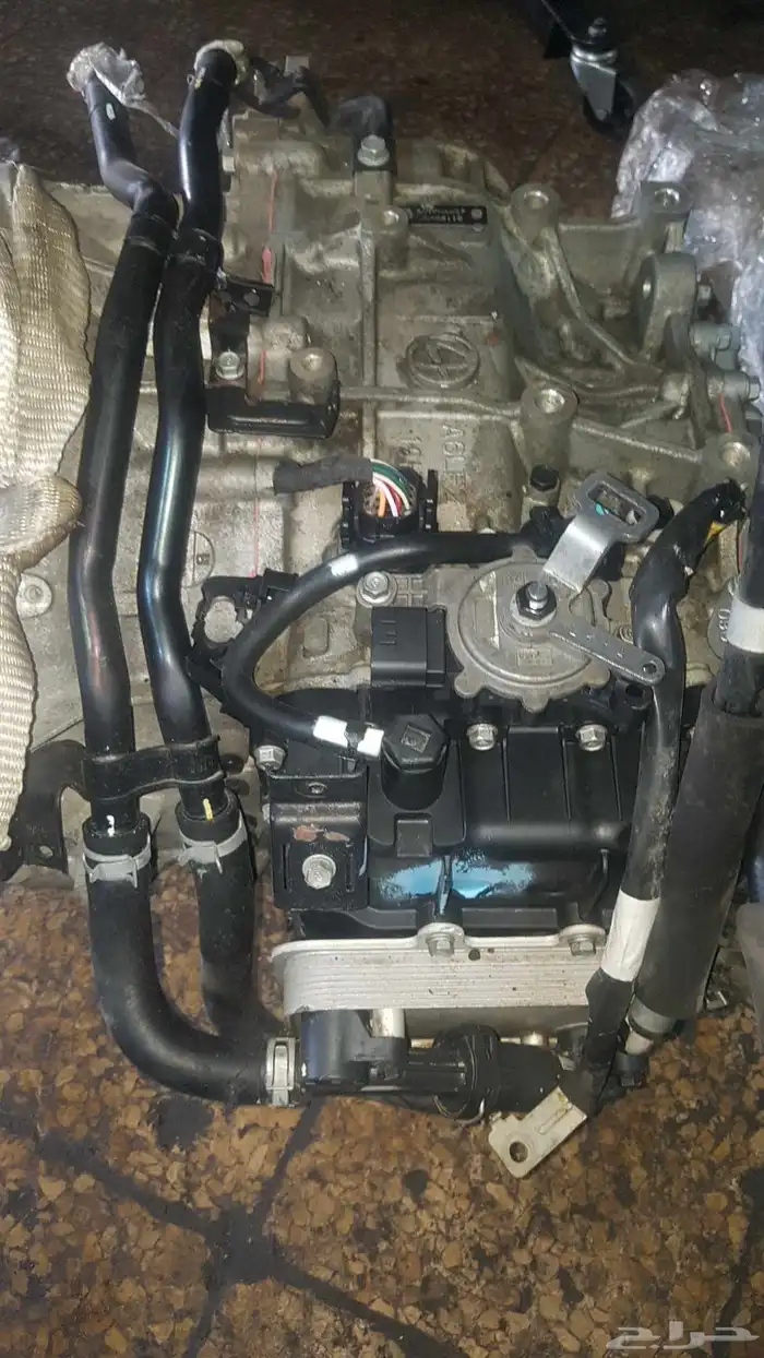 سنتافية 2016 1