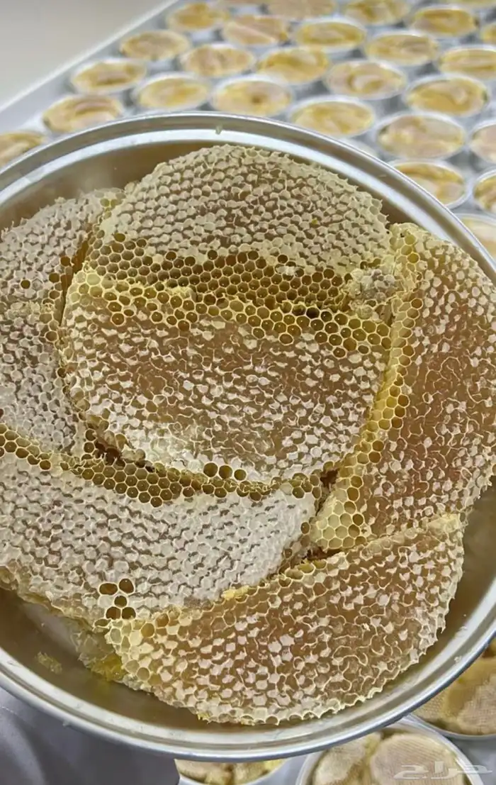 عسل سدر انتاج جديد من محلي 2