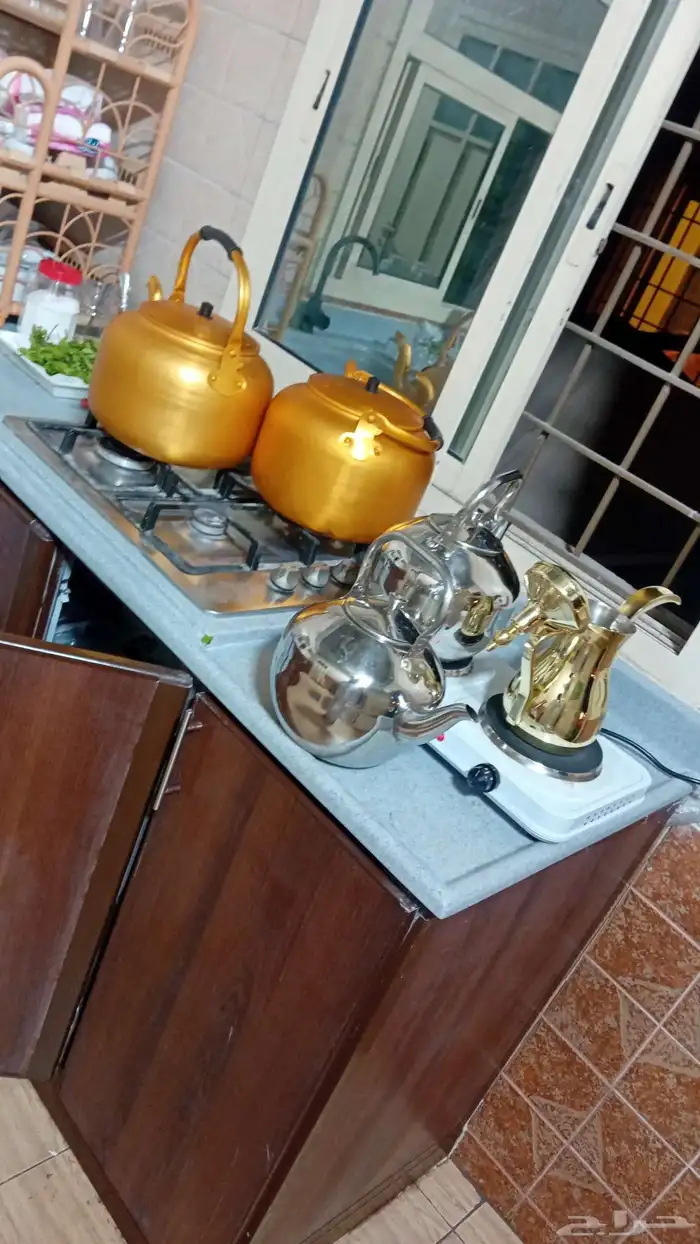 قهوجين وصبابين الشرقية 0