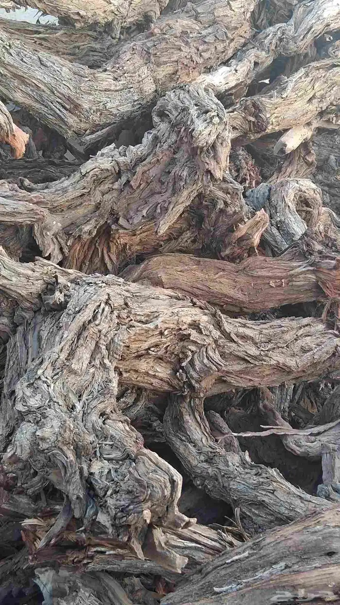 دفايه الشتاء فوق الطيبه 0