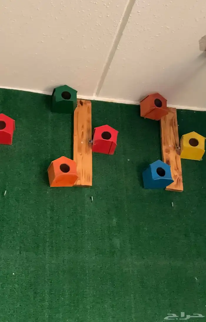 بياضات زيبرا ملونه 0