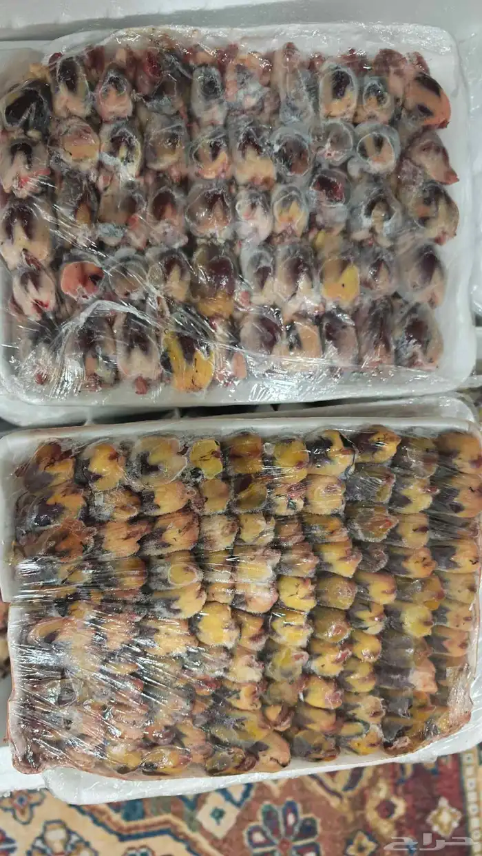 للبيع ارنب اسود صغير مع قفص وعلف 2