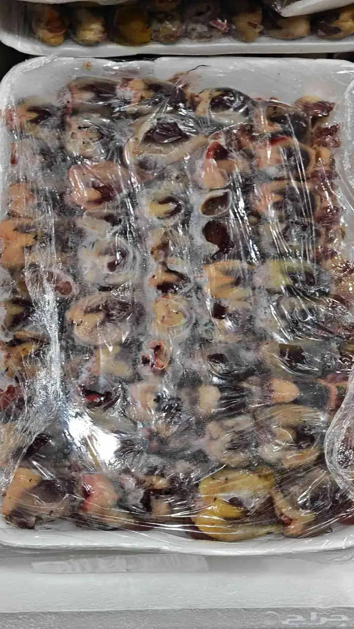 للبيع ارنب اسود صغير مع قفص وعلف 4