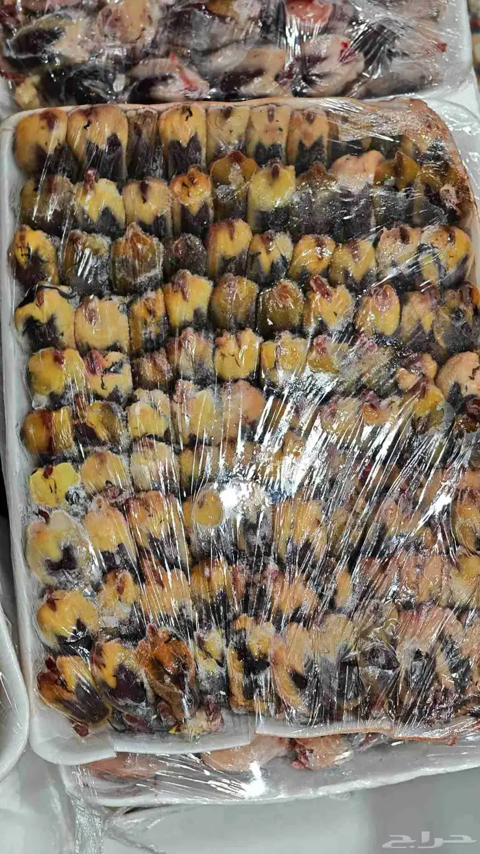 للبيع ارنب اسود صغير مع قفص وعلف 3