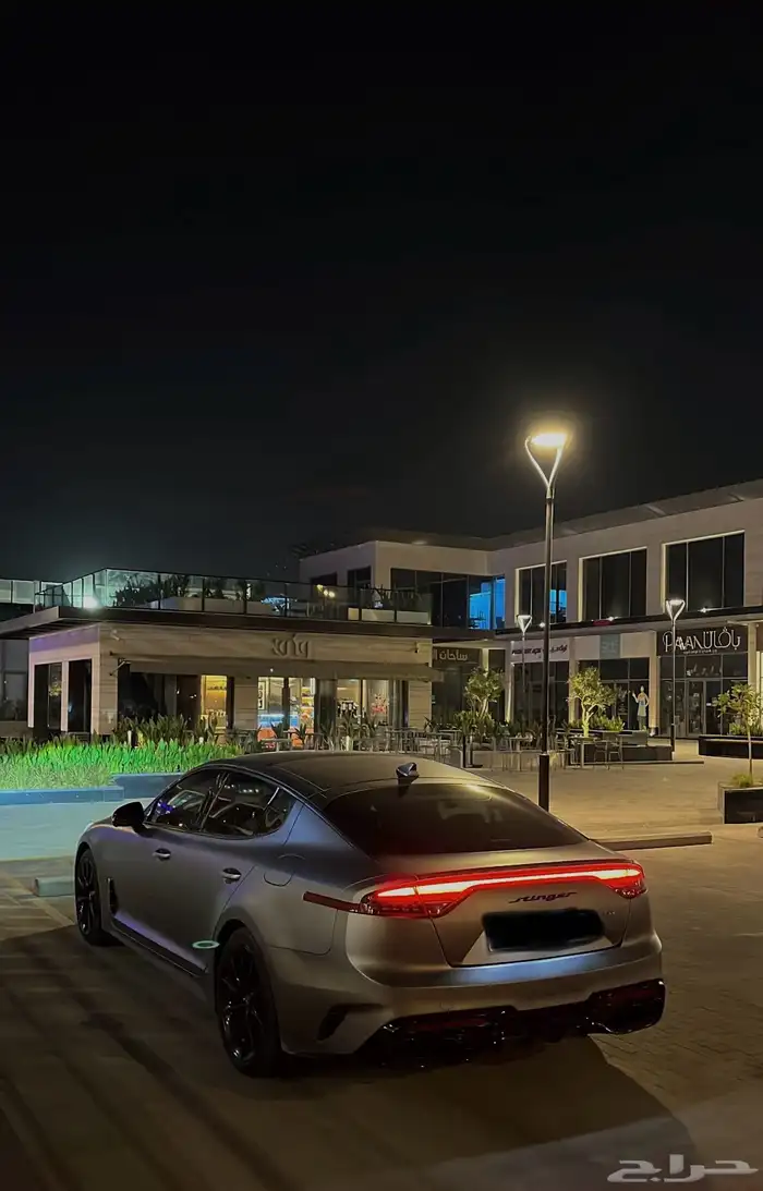 Stinger 2023 Tribute edition 4