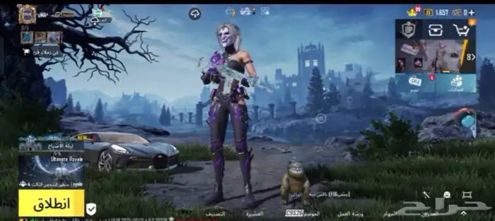 حساب ببجي لفل عالي 2