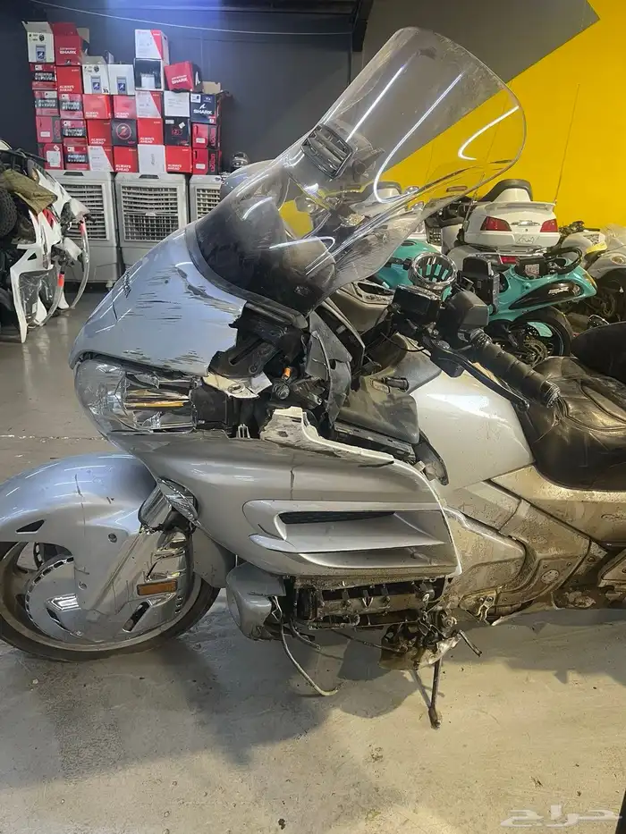 قولد وينق دباب 10