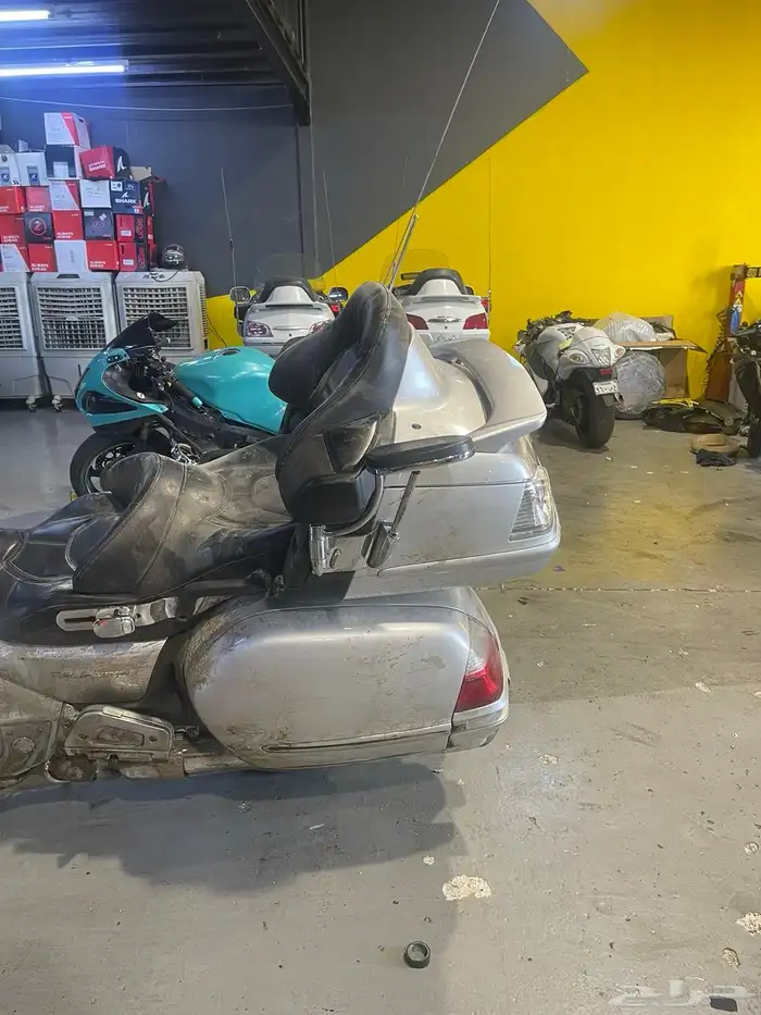 قولد وينق دباب 7