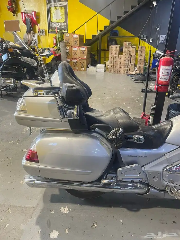 قولد وينق دباب 1