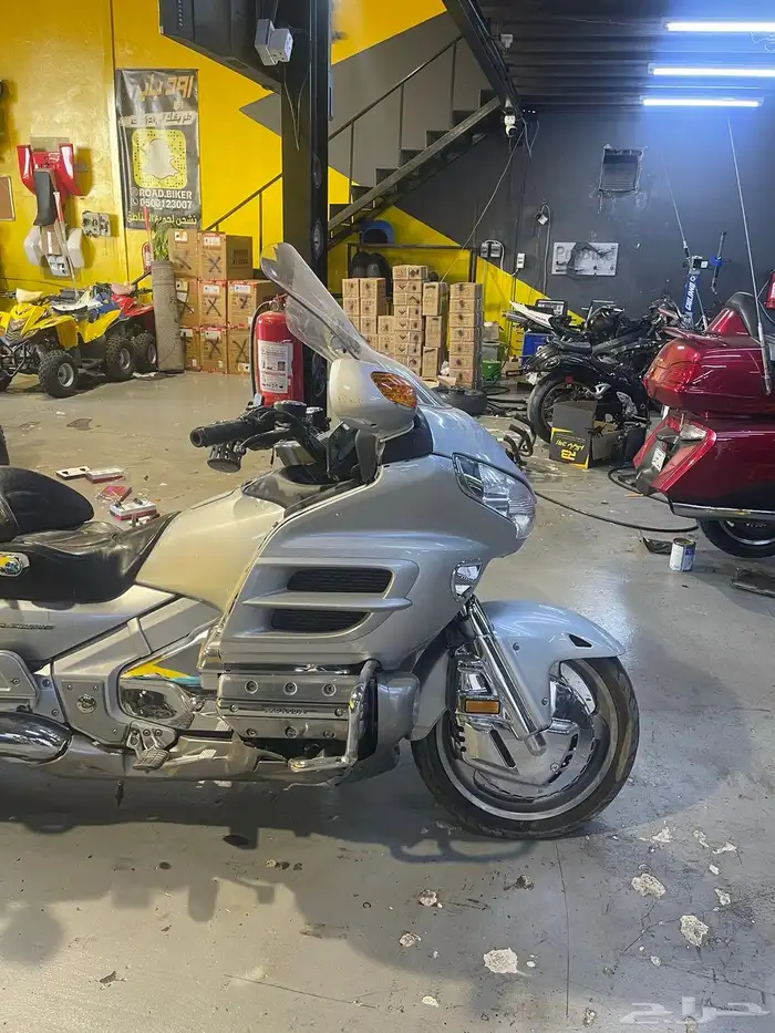 قولد وينق دباب 0