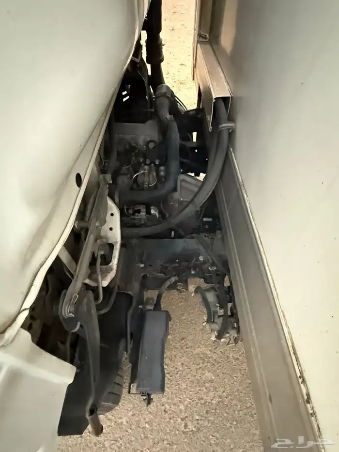 اسيوزو دينا 2016 3