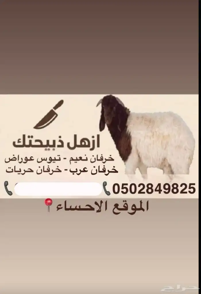 خرفان للبيع يوجد لدينا خرفان سليمه وشرط 0