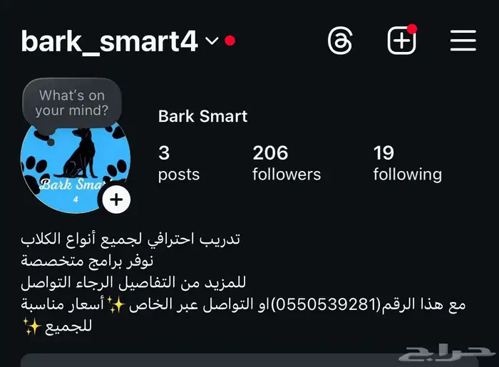 خدماتنا الاحترافية للتدريب الكلاب الكبار والاحجام صغيرة 0