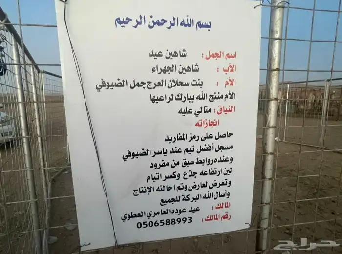 بكره مفروده هجن 3