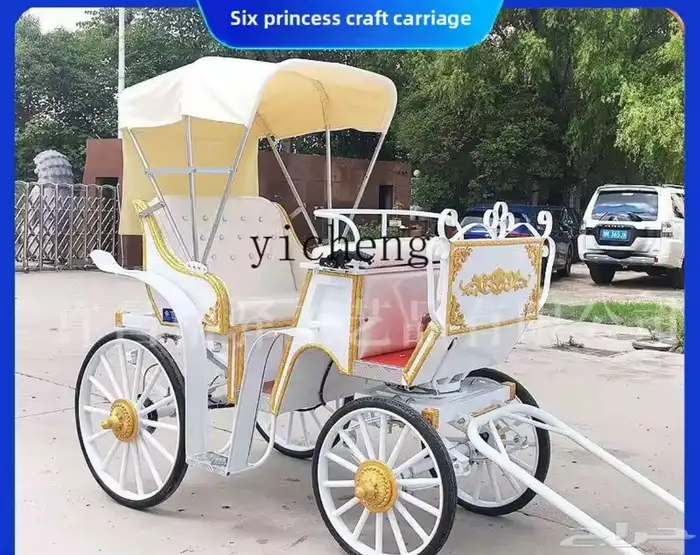 عربة خيول للبيع 1