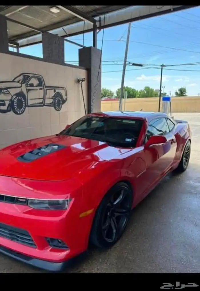 كبوت كمارو 2010 1