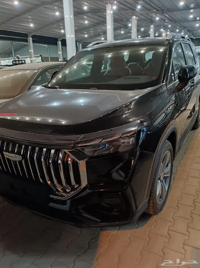 جيلي اوكوفانجو 2025 3