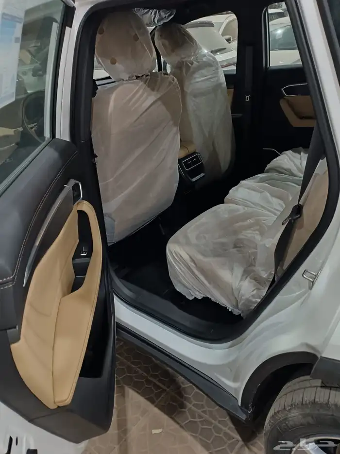 جيلي اوكوفانجو 2025 6