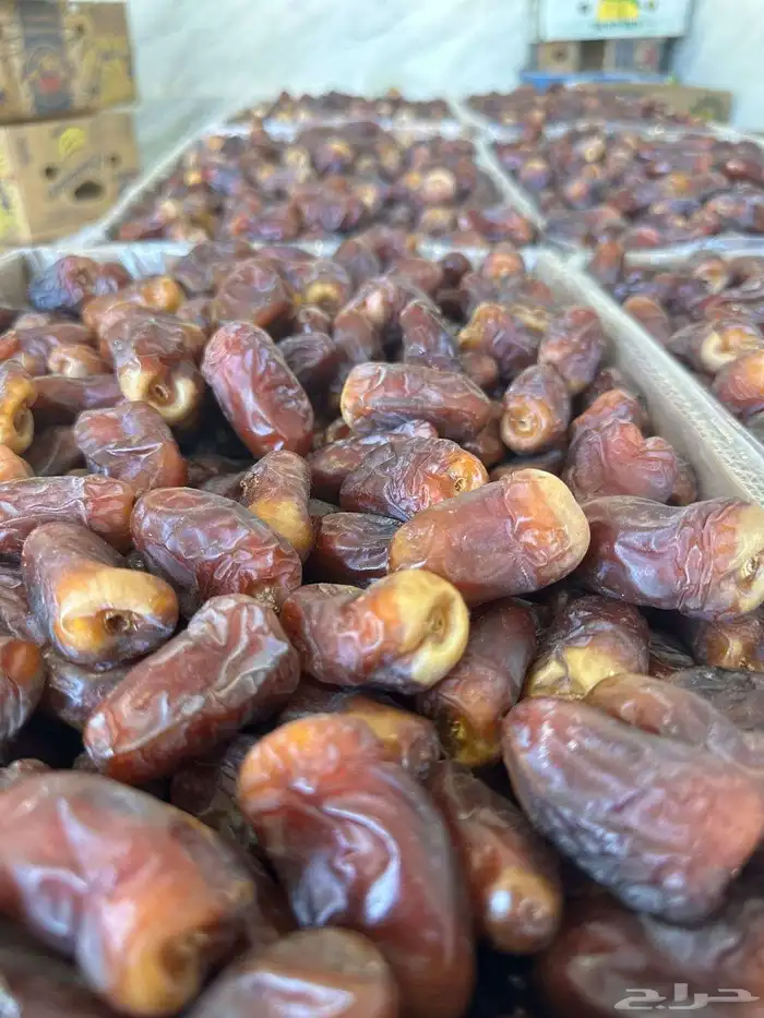 برني العيص الفاخر إنتاج جديد توصيل لجميع المناطق 1