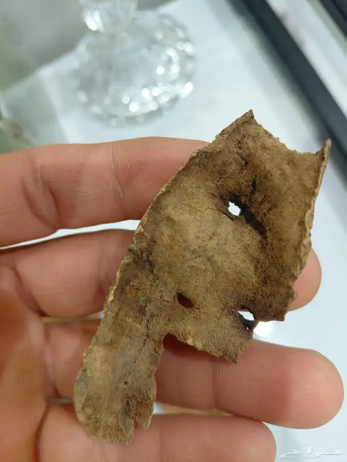 ثمن كيلو عود تشار هندي تربل فآخر 3