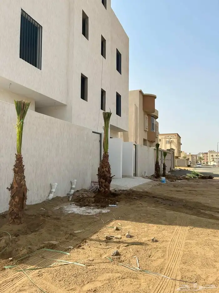 نخل وشنطني زينه فاخر 1