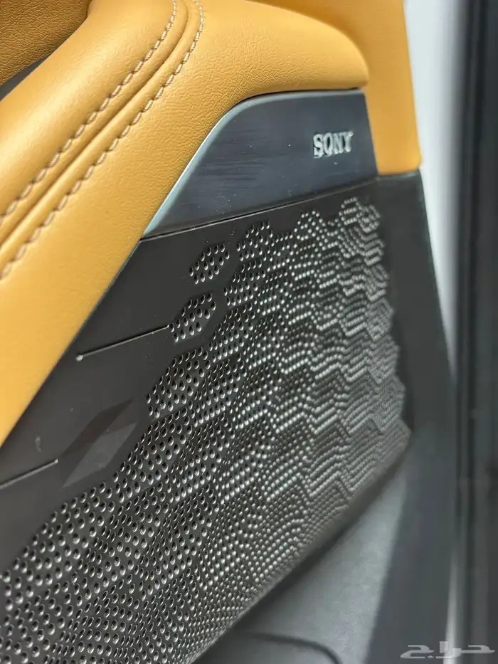 شانجان - يوني كيه-2023 17