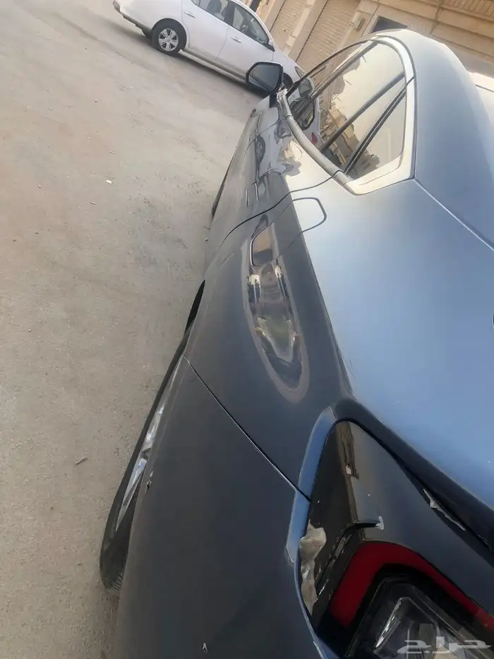 تورس ستاندر 2024 6