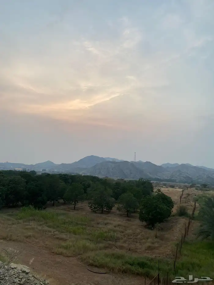 دور مؤثث للايجار في مزرعة خاصة ( مربه) 29