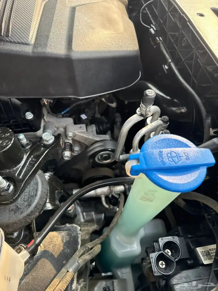 سنتافي للبيع 35