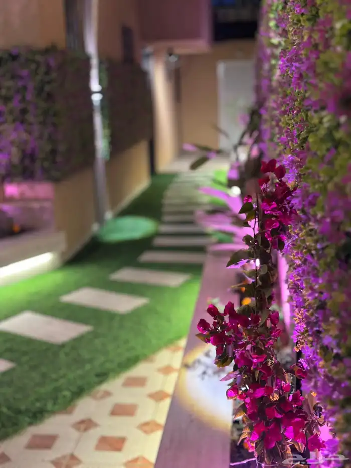 استديوا vip بالعقيق باسعار (مخفضة) للايجار 6