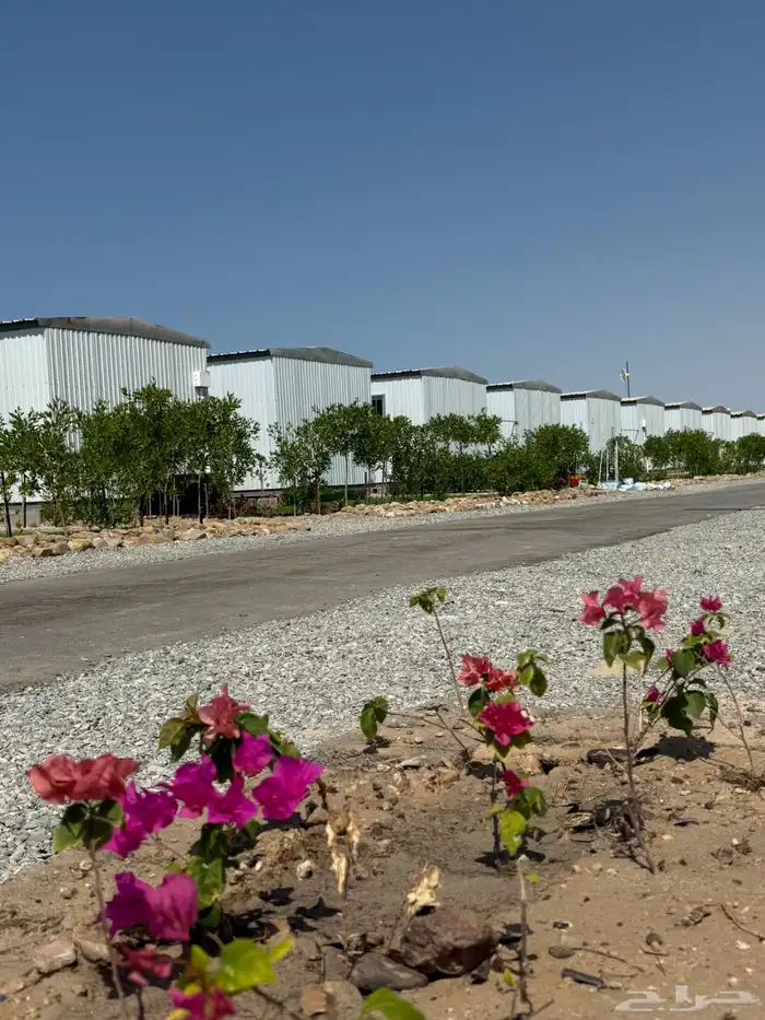 سكن عمال بحي الرياض يتسع لاعداد كبيره 0