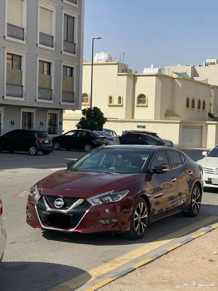 نسيان ماكسيما 0