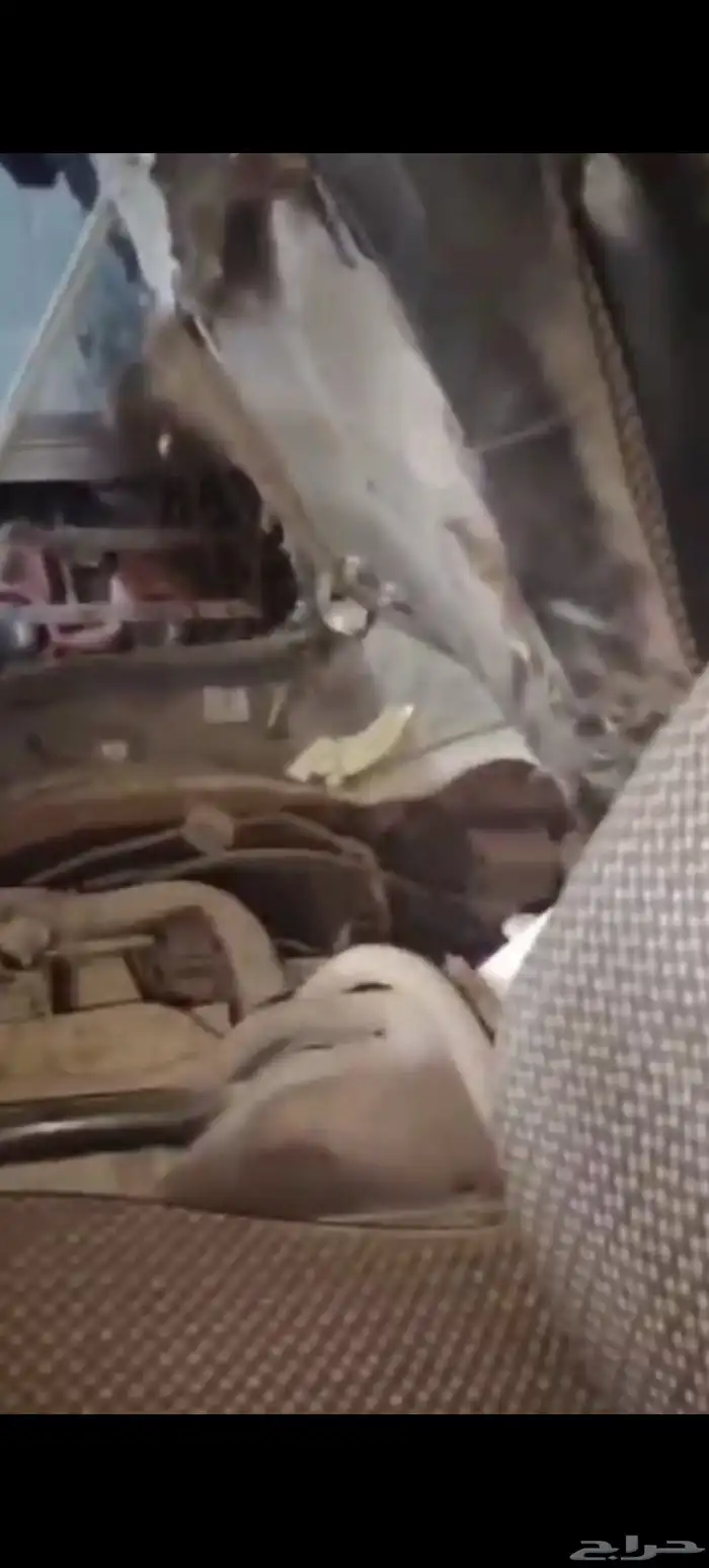 القطيف العواميه 8