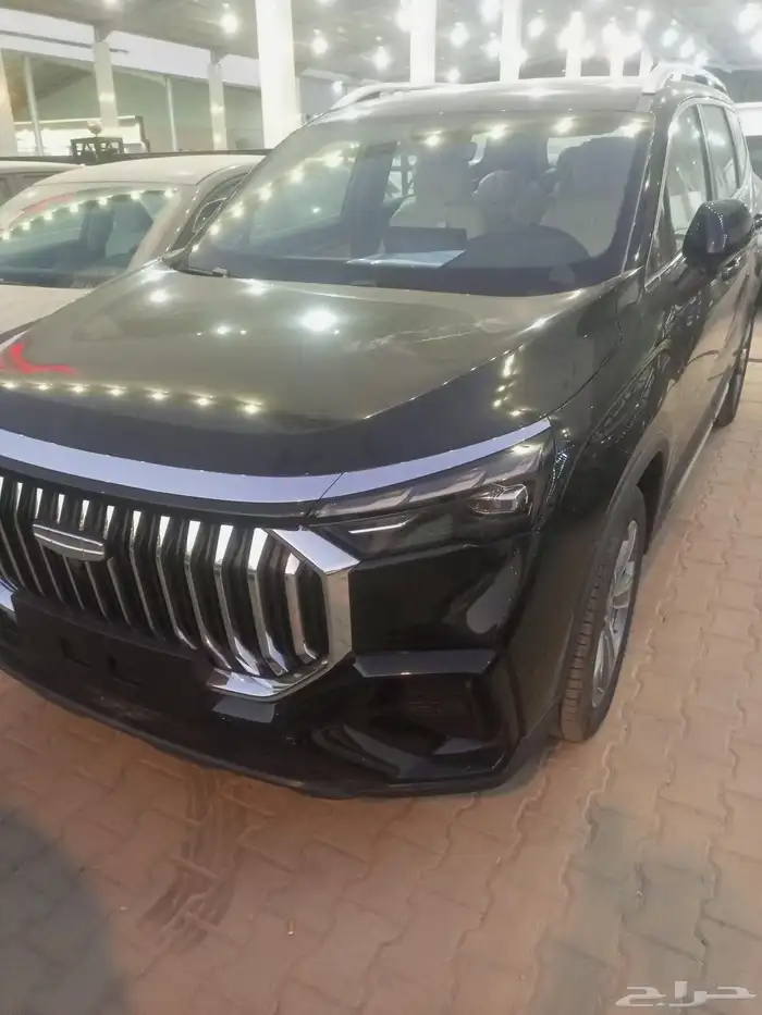 جيلي اوكوفانجو 2025 7