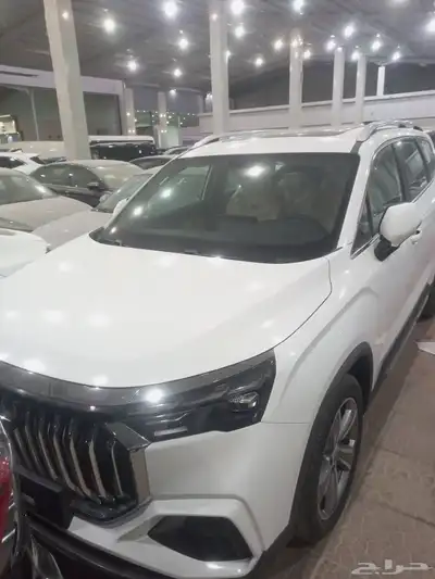 جيلي اوكوفانجو 2025 index