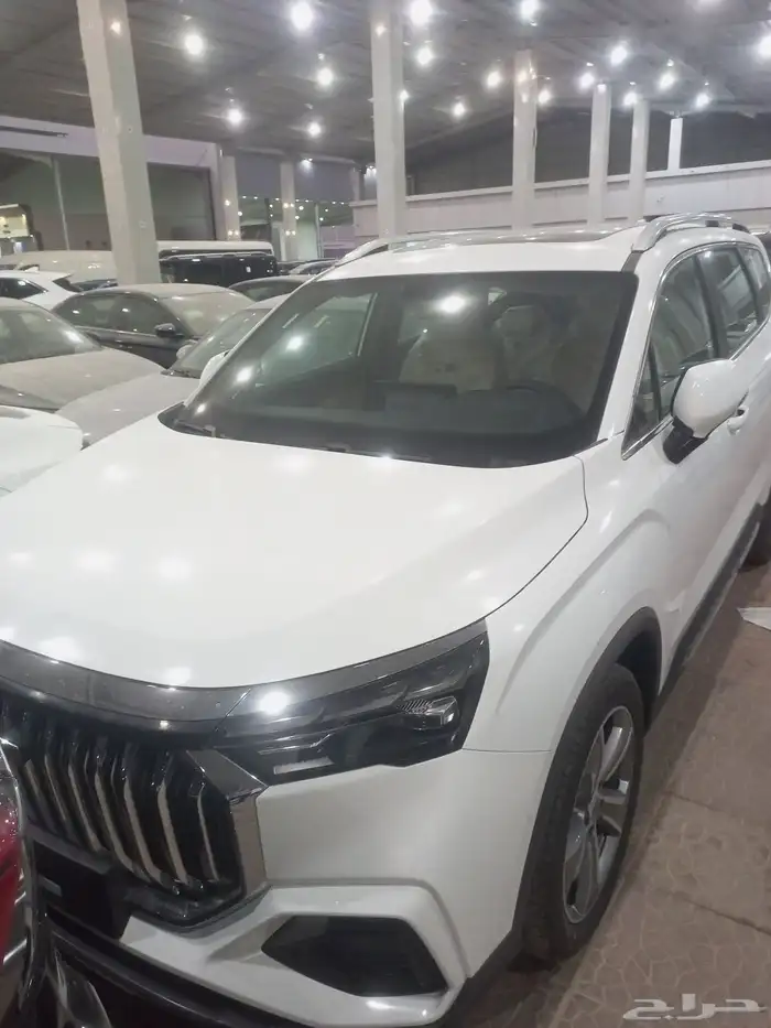 جيلي اوكوفانجو 2025 8