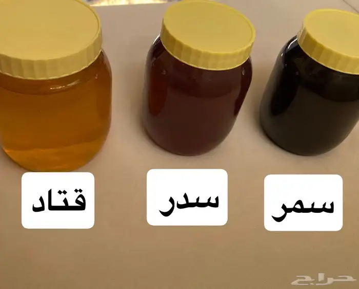 عسل سدر وسمر وقتاد من مناحلنا في سهول بللسمر 0