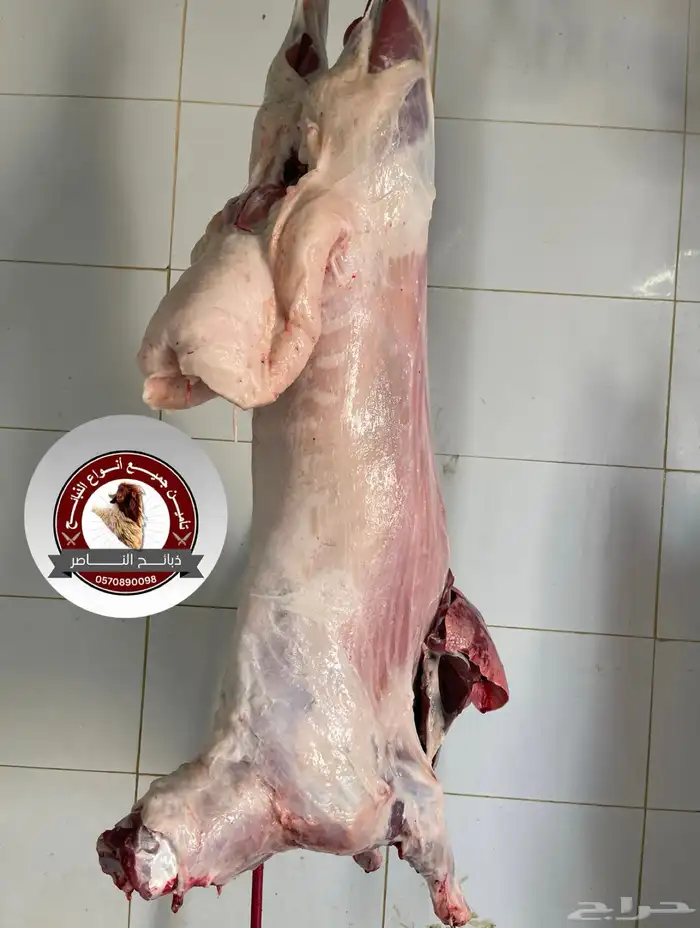 ذبيحتك لباب بيتك نعيمي و حري و ساكني 2