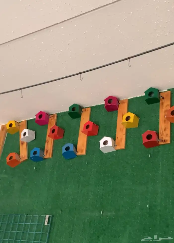 بياضات زيبرا ملونه 2