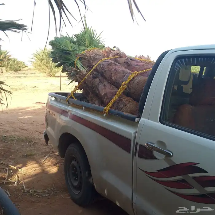 الرياض الدوادمي البجاديه عفيف الجمش التوصل 6