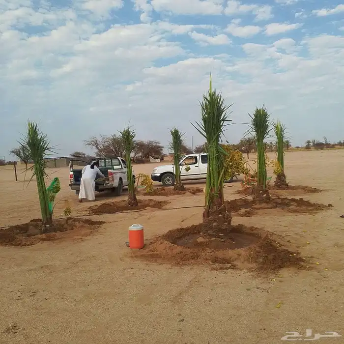 الرياض الدوادمي البجاديه عفيف الجمش التوصل 3