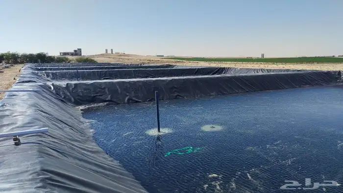 برك اسماك تجمع مياه برك ماء بلستيك ماكرون من اجود انواعه 1