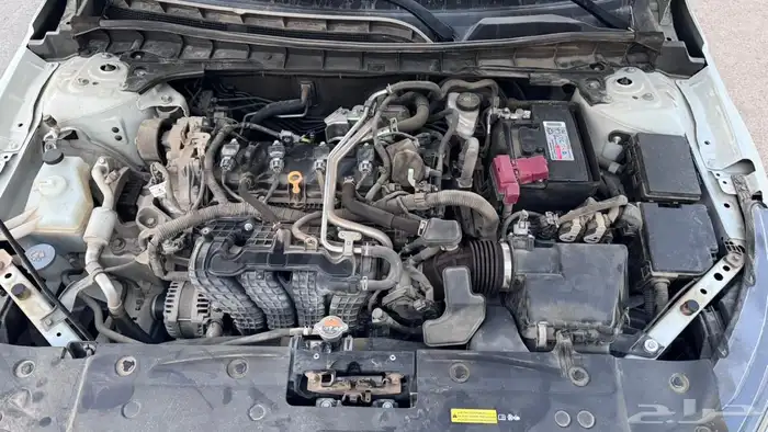 الرياض لبن 10