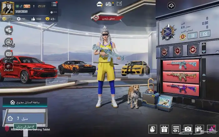 حساب ببجي العالميه . 0