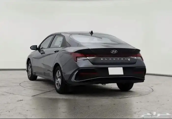 النوع . هونداي إلنترا فليت 2