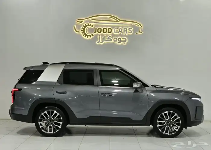 سانج يونج توريس موديل 2023 بحالة ممتازة 1